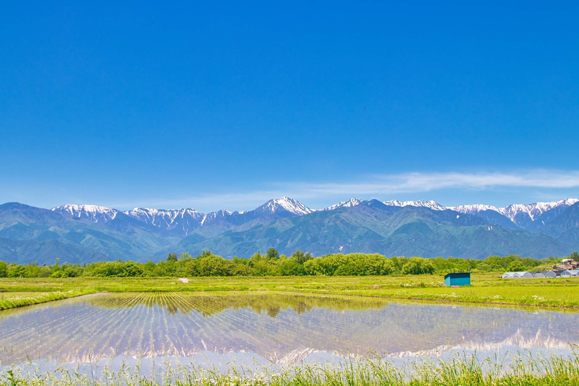 ABE LIFE HOLDINGS メインビジュアル